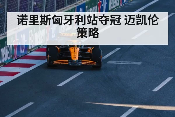 McLaren F1 team racing