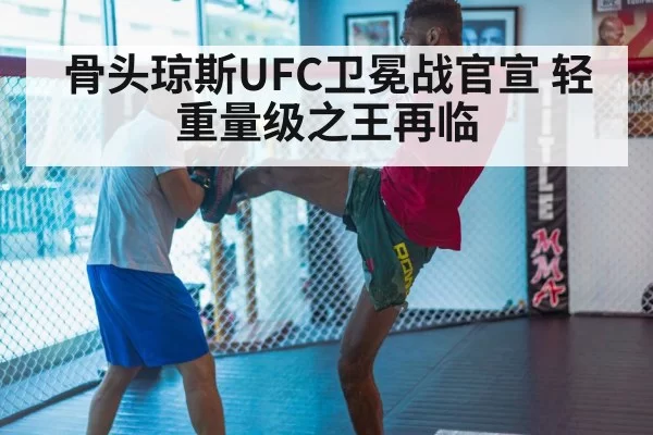 MMA training