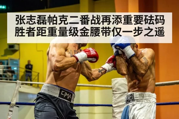 heavyweight boxers exchanging punches